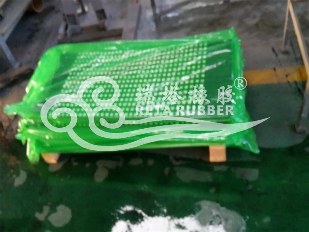 5fa9e67477d02.jpg