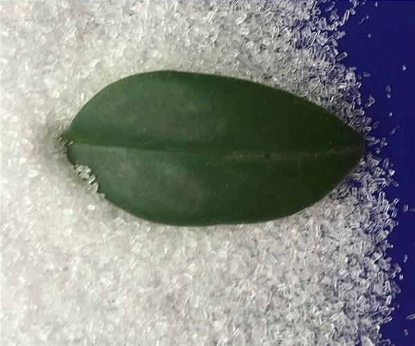 硫酸鎂廠家介紹生產(chǎn)硫酸鎂肥的技術(shù)特點(diǎn)